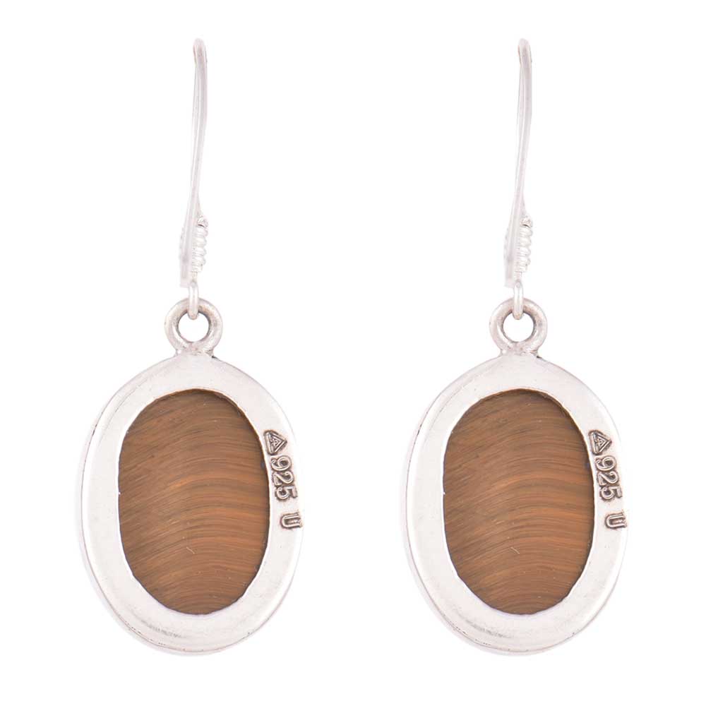 Pair of Tigers Eye Faceted Earrings displayed on a neutral background for a clear view.