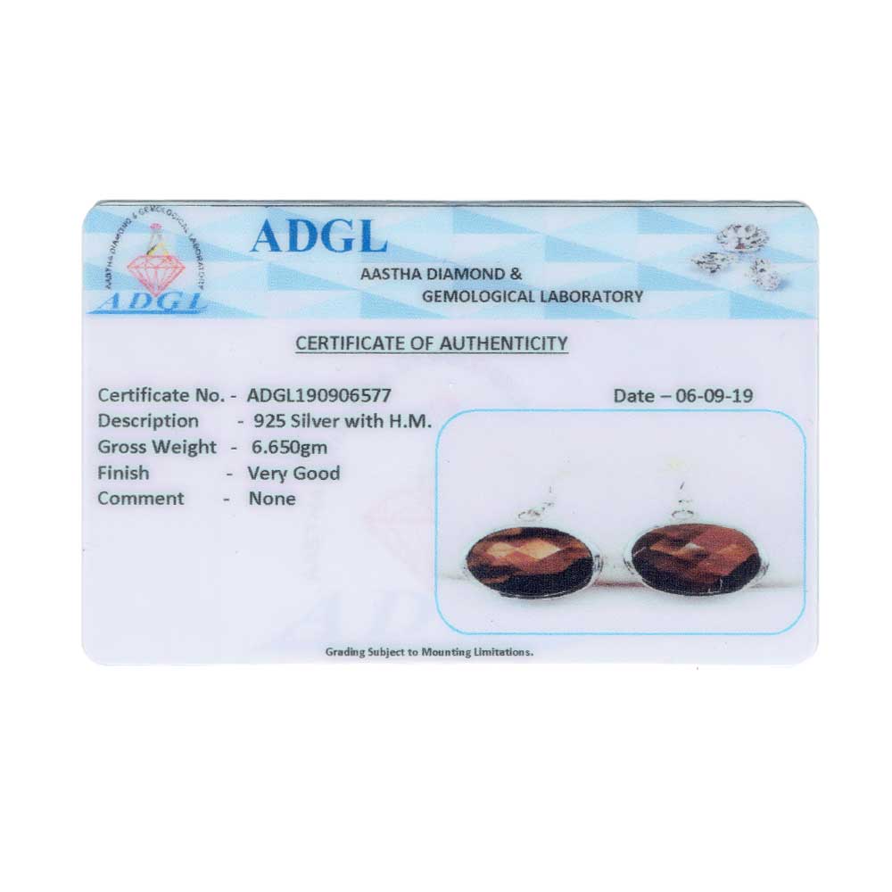 Detailed view of the clasp and back of the Tigers Eye Faceted Earrings earrings.