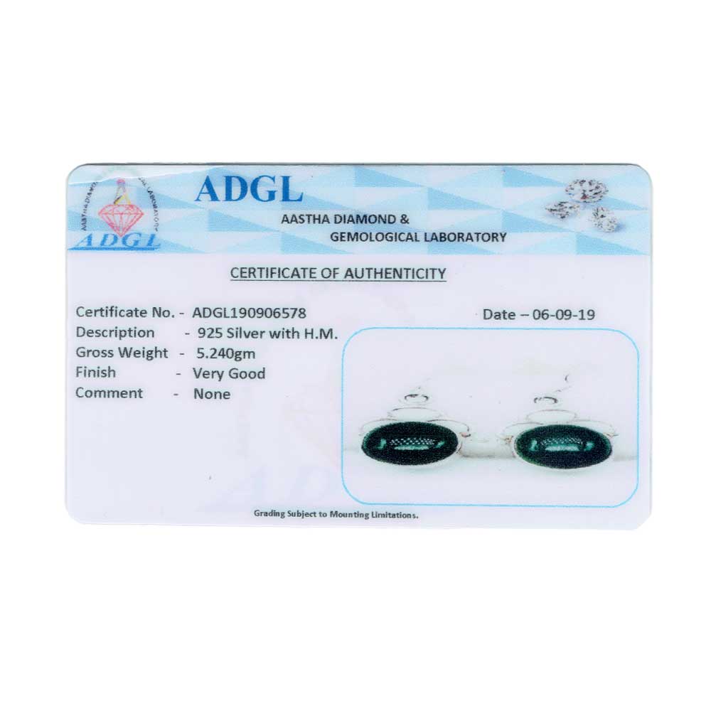 Pair of Agate Earrings displayed on a neutral background for a clear view.